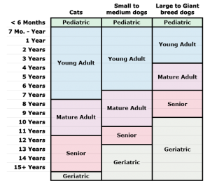 Animal age comparison chart