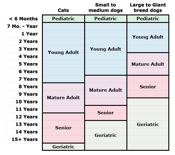 Animal age comparison chart